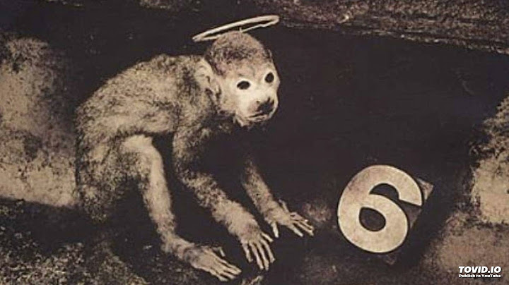 This Monkey's Gone to Heaven Instrumental version - Instrumental performance video thumbnail