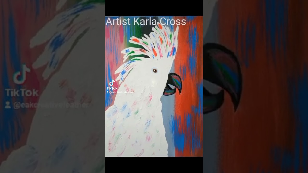 Parrot Boarding, Gifts And More.