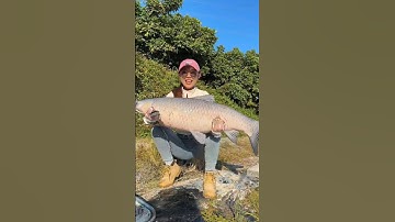 cô cần thủ xinh đẹp đi câu cá trắm đen đầu năm gặp thằng em chủ hồ ngây thơ và cái kết  #fishing