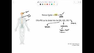 Online Lab 7 - Introduction