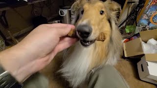 Salmon Jerky ASMR. Chewing Pleasure! by Creative Diamond Dogs 55 views 1 year ago 1 minute, 32 seconds