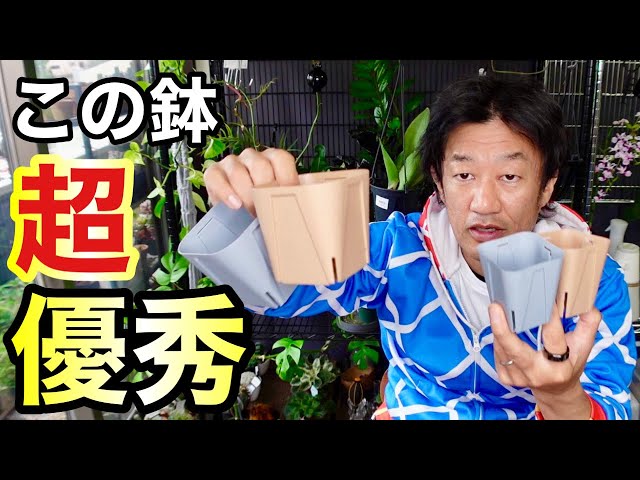 とんでもない鉢】を作ってしまった。。。 【園芸超人カーメン君