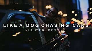 The Dark Knight - Like A Dog Chasing Cars (Slowed + Reverb) Resimi