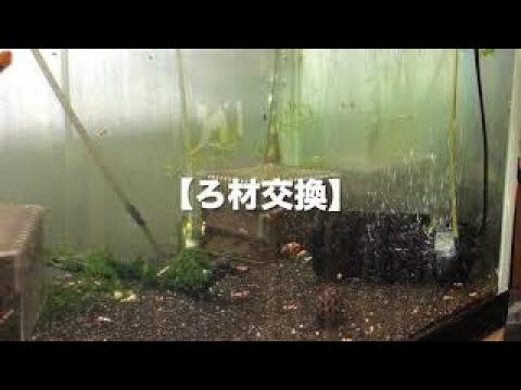 ロカボーイろ材交換 ロカボーイ 濾過ボーイ ローキーズ札幌 Youtube ロカボーイろ材交換 ロカボーイ 濾過ボーイ ローキーズ札幌 Youtube