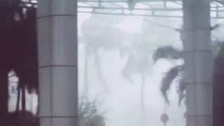 Vardah cyclone in Chennai 12 Dec 2016 screenshot 5