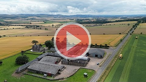 Pea Vining in Westmuir