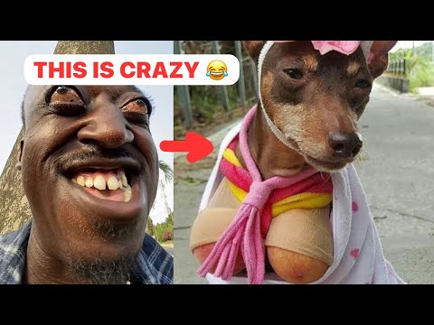 Stephen Favour Diamond TV 😂🔥 | Viral Reactions, Funny Moments & Trending Entertainment