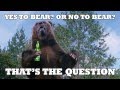 Tuborg - To bear or not to bear?