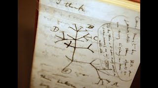 Charles Darwin’s notebooks, worth millions, stolen from Cambridge University Library