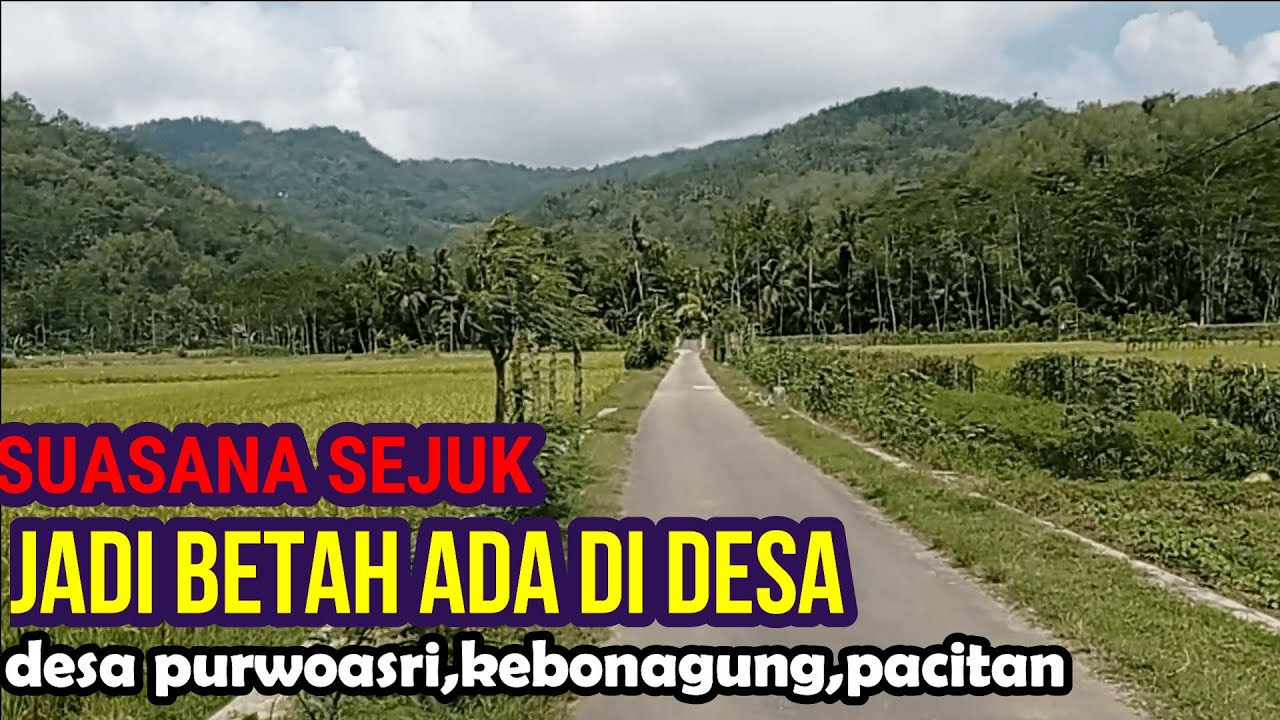 suasana di pedesaan jawa timur | desa purwoasri kecamatan kebonagung kab pacitan yang bikin kangen