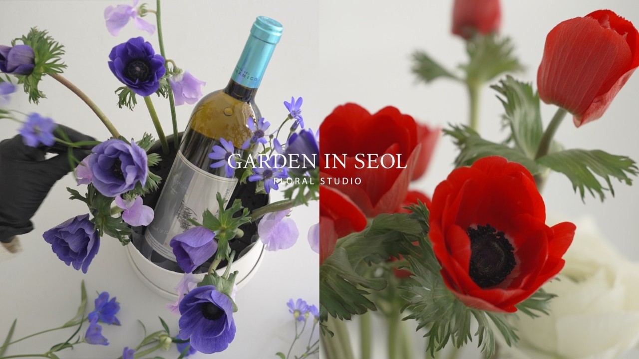 Перед весной | Уникальный подарок с вином и анемонами | Цветочный магазин в Сеуле