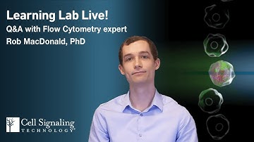 Flow Cytometry Staining Considerations When Combining Intracellular and Extracellular Readouts
