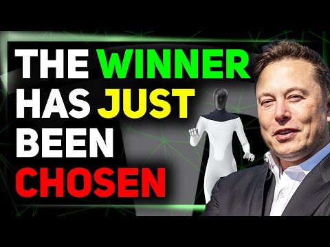 Industry Insider Speaks Out / Wall Street Drops Robotaxi Research / Optimus Production Estimates ⚡️