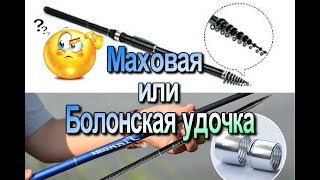 Маховая или Болонская удочка с катушкой что выбрать?