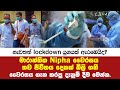 මාරාන්තික Nipha වෛරසය තව ජීවිතය දෙකක් බිලි ගනී