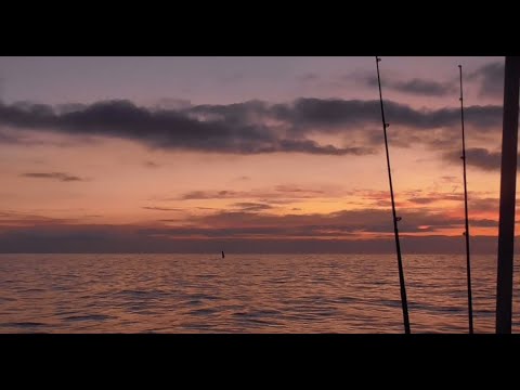 Effective Goby Fishing Gear, May 2020