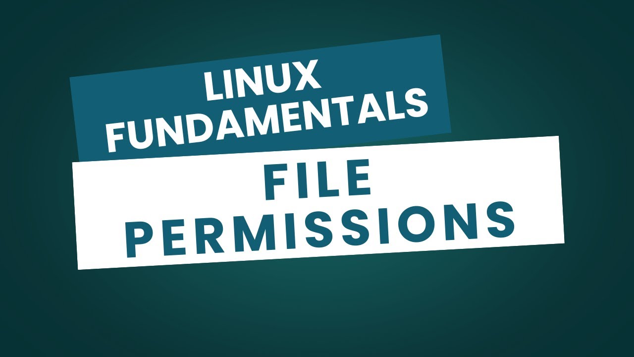 Python Fundamentals | Introduction to Programming - YouTube