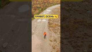Привет, Хибины 🏔️ Осень - отличное время годы для путешествия на Кольский #путешествияпороссии