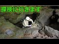 休日にテスラに乗って富士の樹海に行ってみた