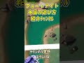 【この後謝罪しました】アーマードに閉じ込めてかめはめ波【フォートナイト】【Fortnite】 #Shorts