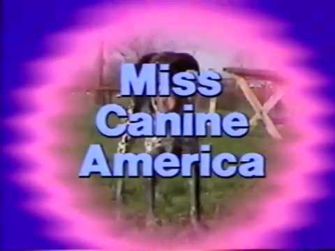 Miss Canine America