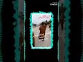 البكيصه يقطعون طريق ورجعون لمريكان كفو خوت صبحه ڪڪـﻓـو 