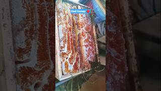 Rare Red Honey From A Log Hive