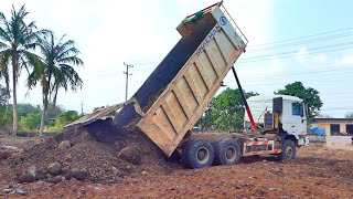 Dump Truck 25 5 tons is working smoothly with the big project to fill the poured soil here