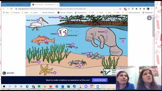 USF Marine Science 2021