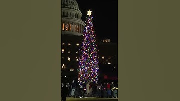 House Speaker Mike Johnson lights the Capitol Christmas tree in Washington, D.C.