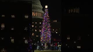 House Speaker Mike Johnson lights the Capitol Christmas tree in Washington, D.C.