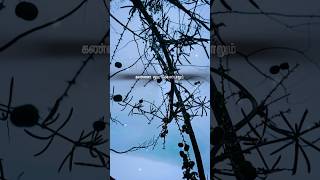 மீண்டும் ஏன் இந்த ஏக்கம்..🍃✨️🥹 #shorts #tamilsong #sadsongstatustamil #viral #janacreatz #shortsfeed