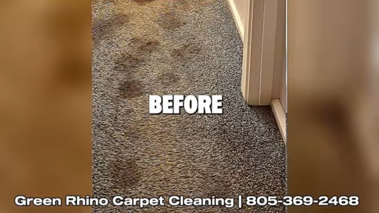 Green Rhino Carpet Cleaning