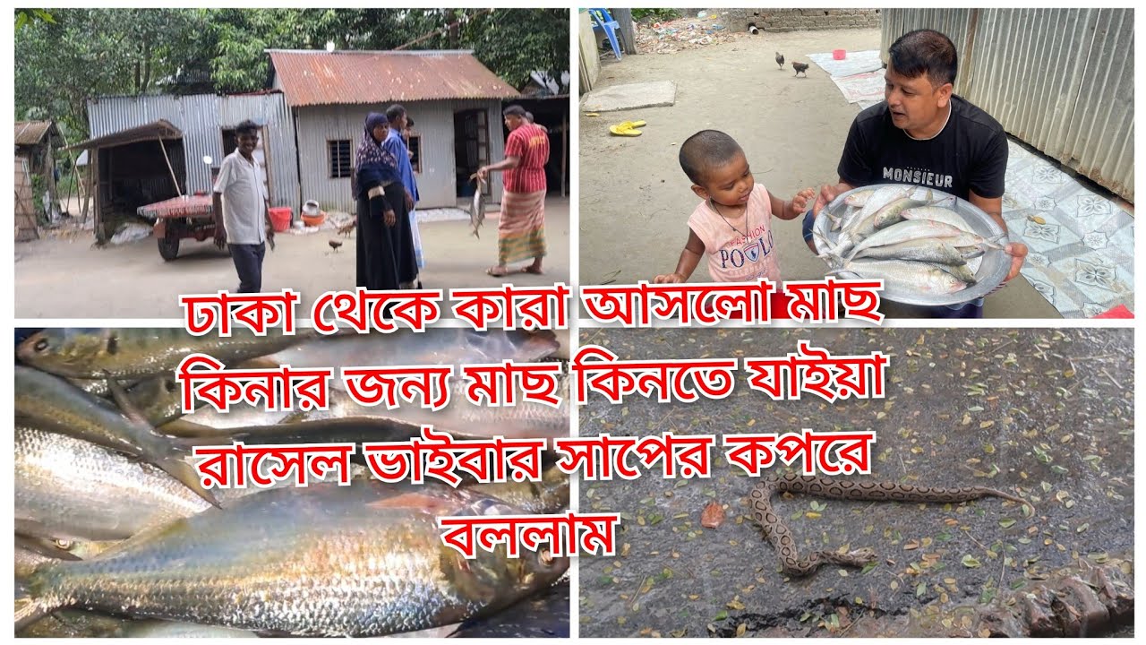 ঢাকা থেকে মেহমান আসছে মাছ কেনার জন্য