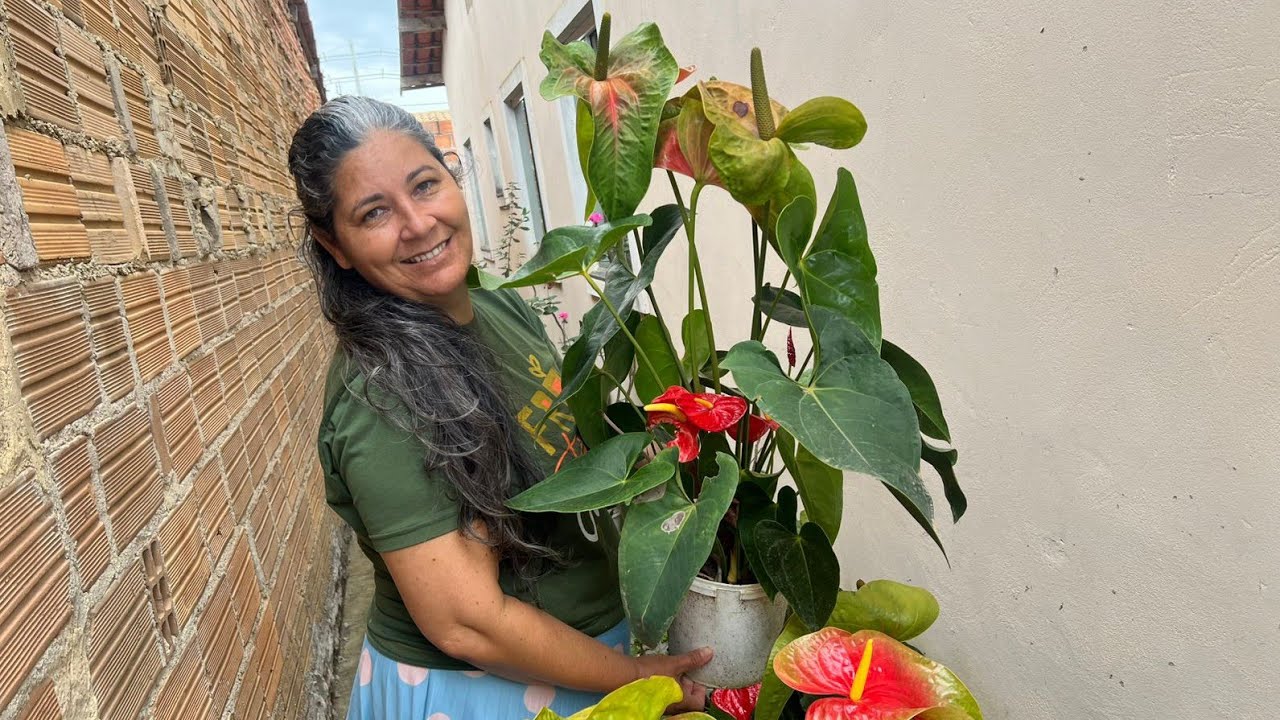 Cuidando das plantas!
