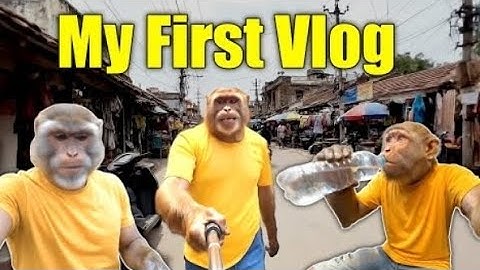 Baba bunty 1st Vlog || Ai monkey Vlog || I Will go to the Mall || ai monkey shorts