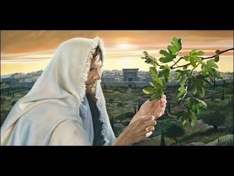 III Domingo de Cuaresma