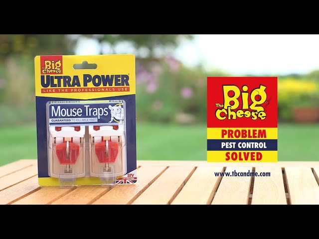 The Big Cheese Ultra Power Twin-Speaker Rodent Repeller - Mouse