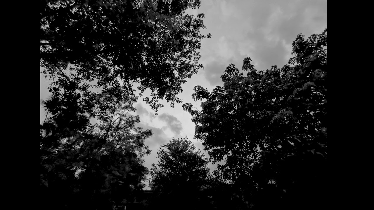 Sajid & Zeeshan - East Off West (Instrumental from the album THE HARVEST)