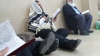 חדש. אדיר ושדי קינה