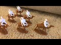 Just deserts army men stop motion