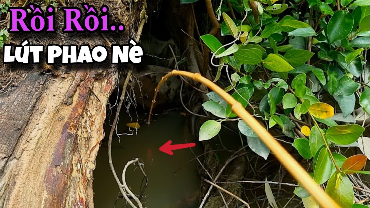 Tập 27 - Câu Cá Rô Đồng | Cứ Về Đây Câu Thì Lo Mà Giật, Cá Nhiều Mà Ú Nu Làm Món Gì Cũng Ngon