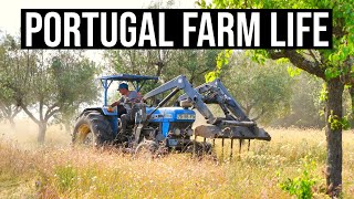 It&#39;s hard to say Goodbye! | PORTUGAL FARM LIFE