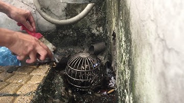 Quy trình vệ sinh quả cầu chặn rác cống thoát nước