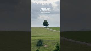 Bırak Da Unutayım… 🖤💔 Resimi