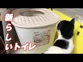 猫のトイレ！買ってみました！