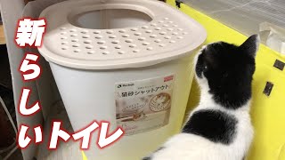 猫のトイレ！買ってみました！