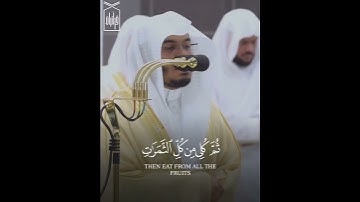 ﴿يخرُجُ مِن بُطونِها شَرابٌ مُختلِفٌ ألوانُهُ فيهِ شِفاءٌ لِلنّاسِ﴾ من سورة النحل للشيخ ياسر الدوسري