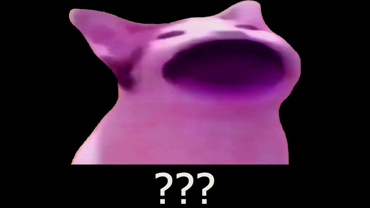 10 Pop Cat Sound Variations