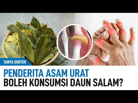 Daun Buat Obat Asam Urat Dan Kolesterol